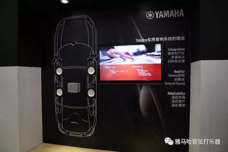 韦德1946乐器