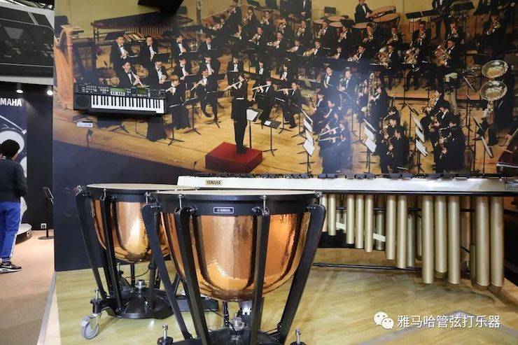 韦德1946乐器 试奏乐器