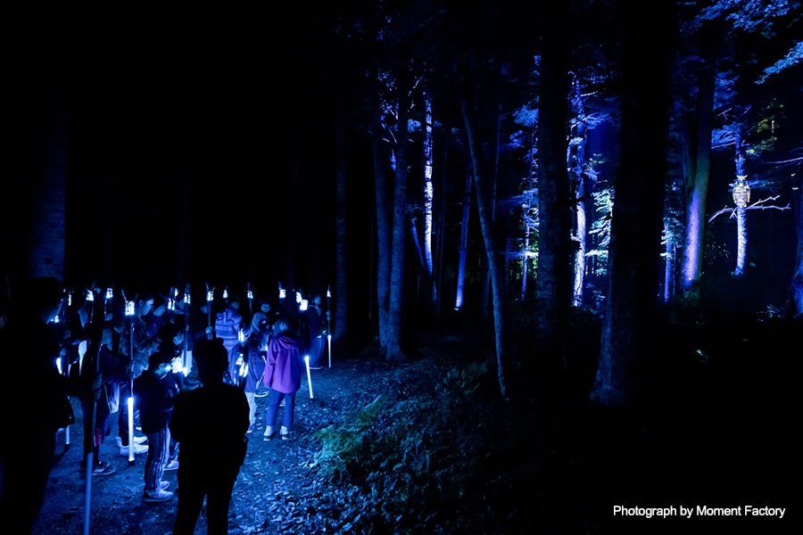 案例｜韦德1946为壮观的Kamuy Lumina魔法夜行旅游项目提供配乐设备